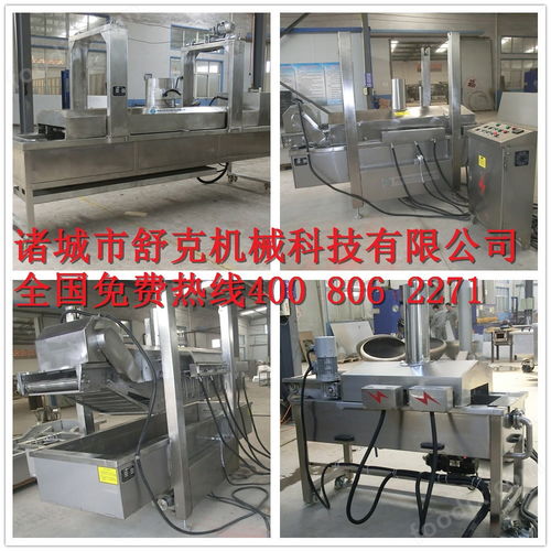 小魚仔油炸機(jī) 毛毛魚油炸生產(chǎn)線 海魚油炸機(jī)