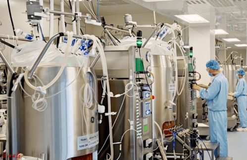 首次提出,即占據(jù)c位