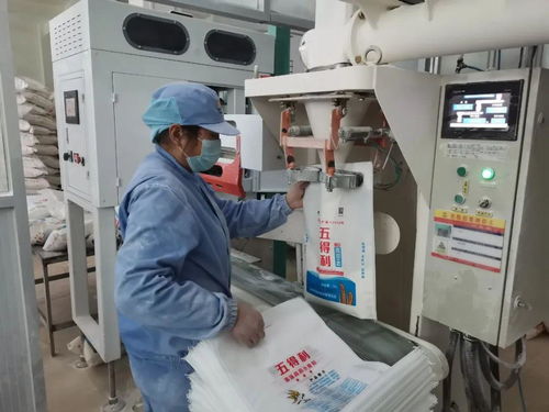 糧倉滿滿的 這圖看著心里真踏實