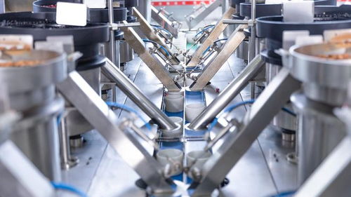 走進洽洽透明工廠,探訪一顆堅果蘊藏的新質生產力